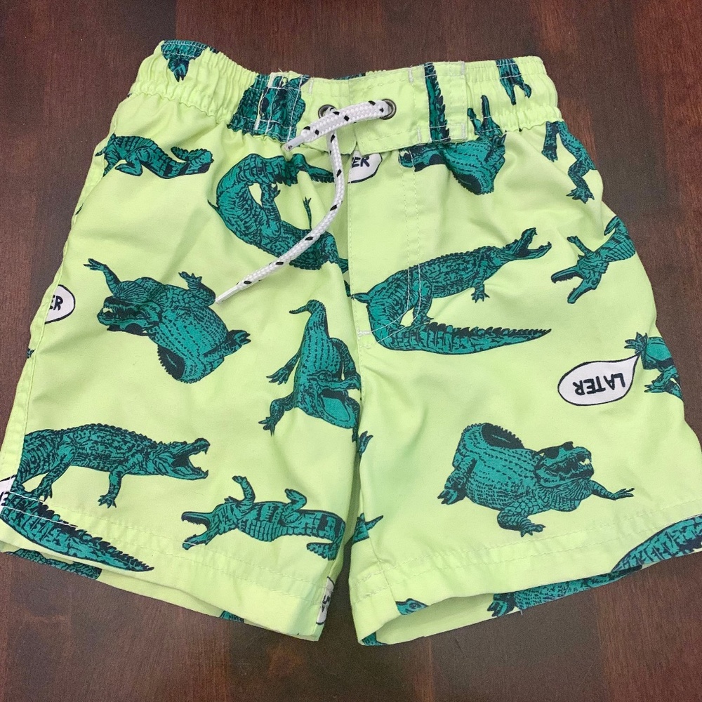 Toddler boys swim trunks